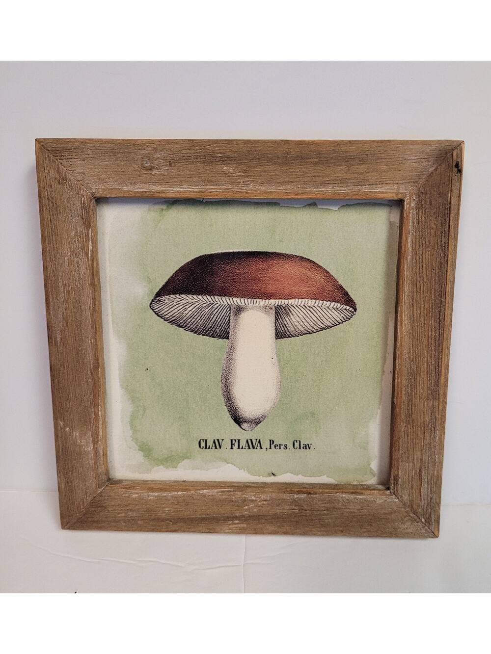 Creative Co-op Mushroom Framed Art 6" Square CLAV FLAVA, Pers. Clav. Fungi Retro